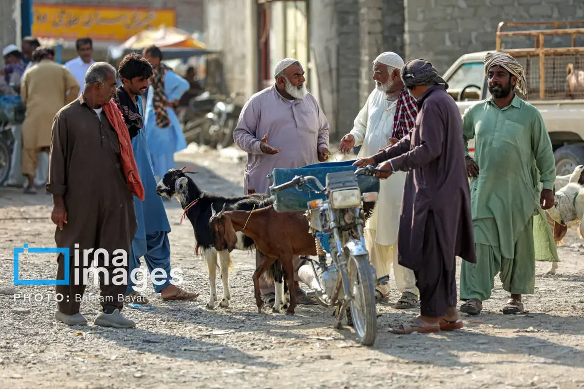 نقاشی طبیعت و فرهنگ بر بوم چابهار