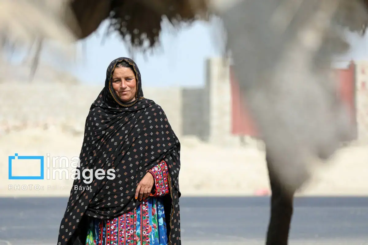 نقاشی طبیعت و فرهنگ بر بوم چابهار