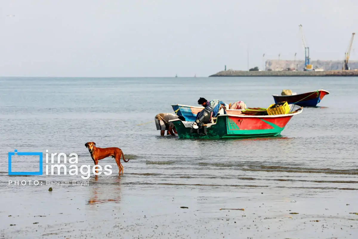 نقاشی طبیعت و فرهنگ بر بوم چابهار