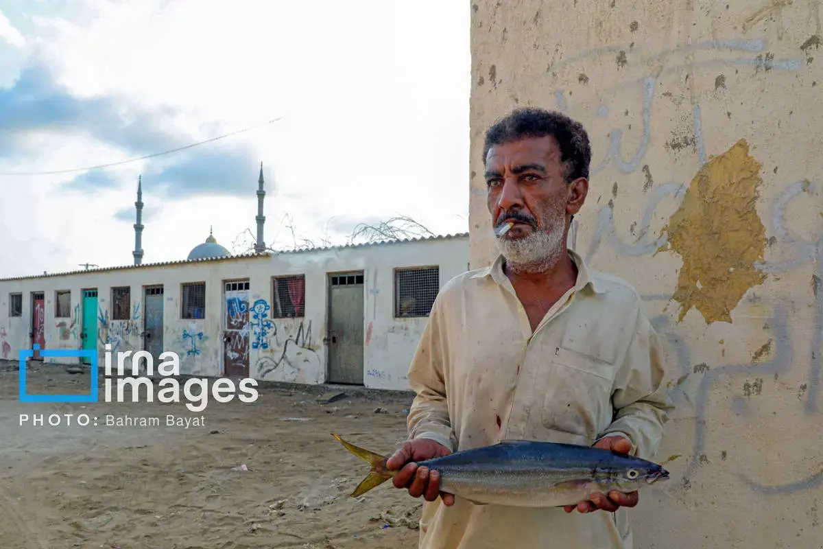 نقاشی طبیعت و فرهنگ بر بوم چابهار