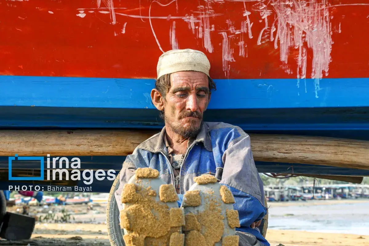 نقاشی طبیعت و فرهنگ بر بوم چابهار