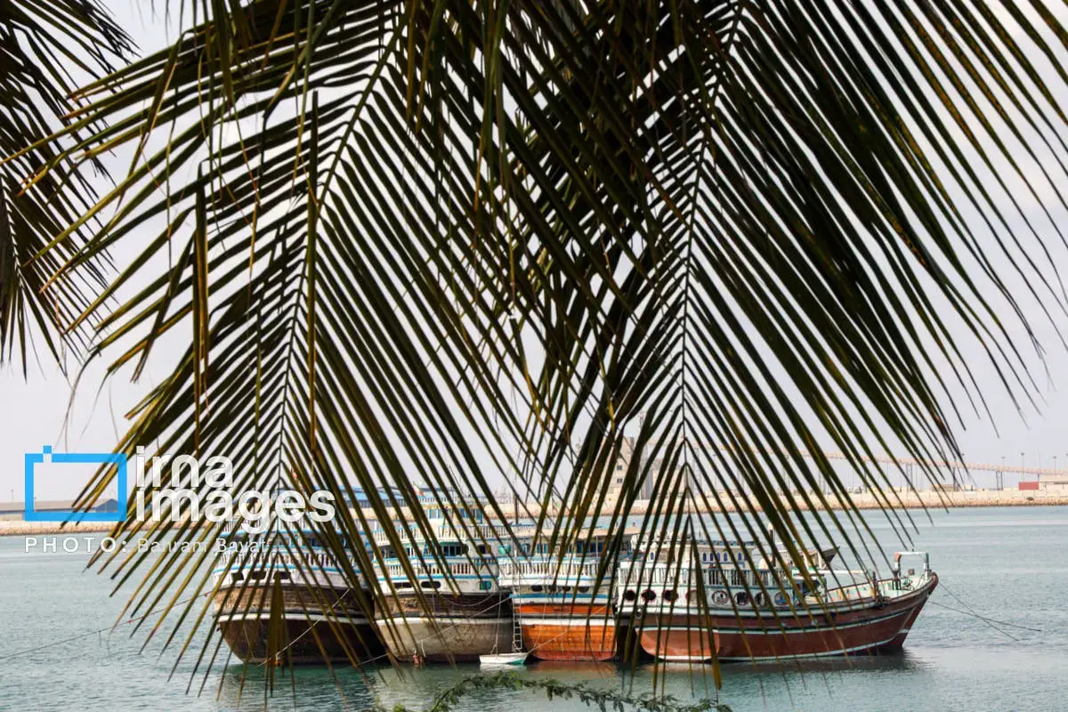 نقاشی طبیعت و فرهنگ بر بوم چابهار