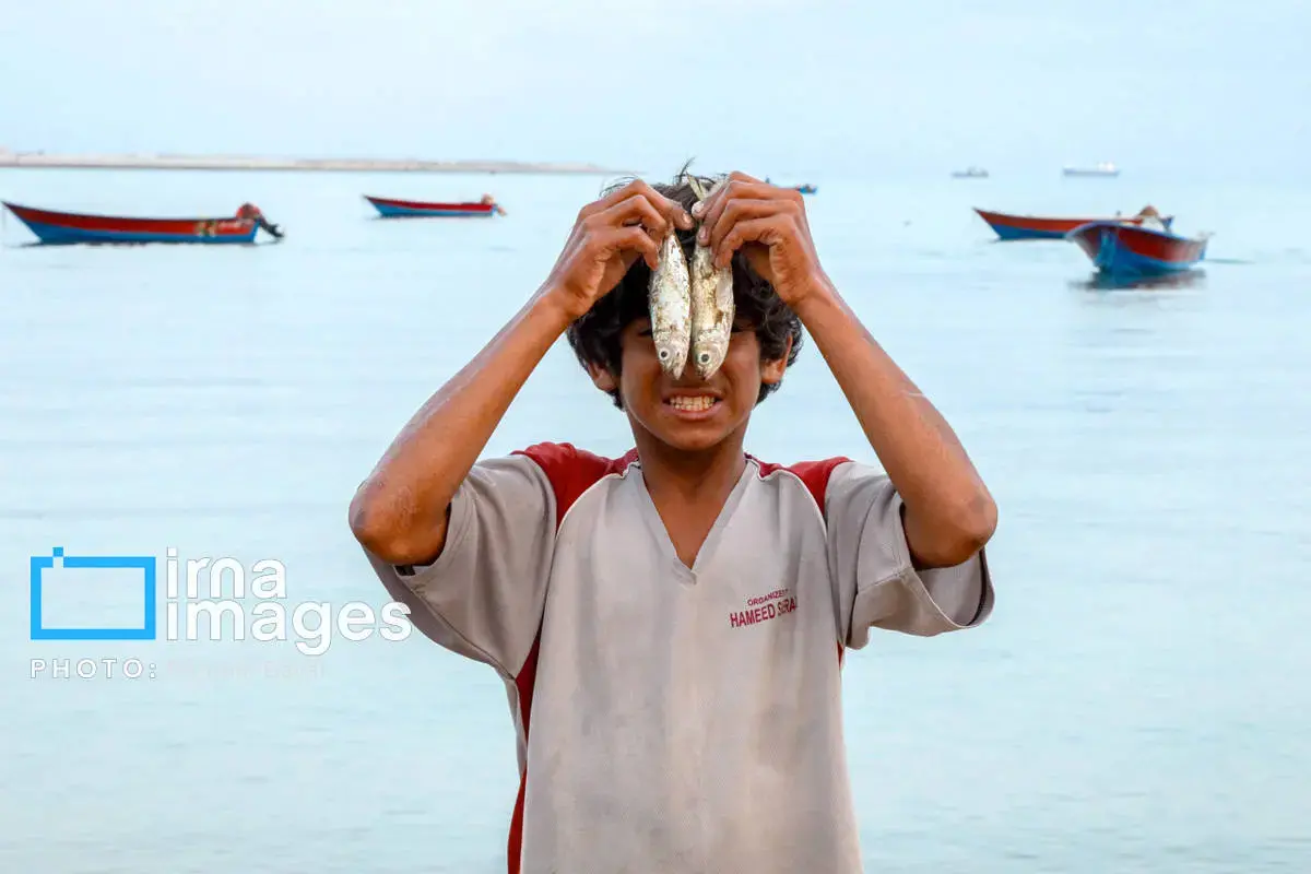 نقاشی طبیعت و فرهنگ بر بوم چابهار