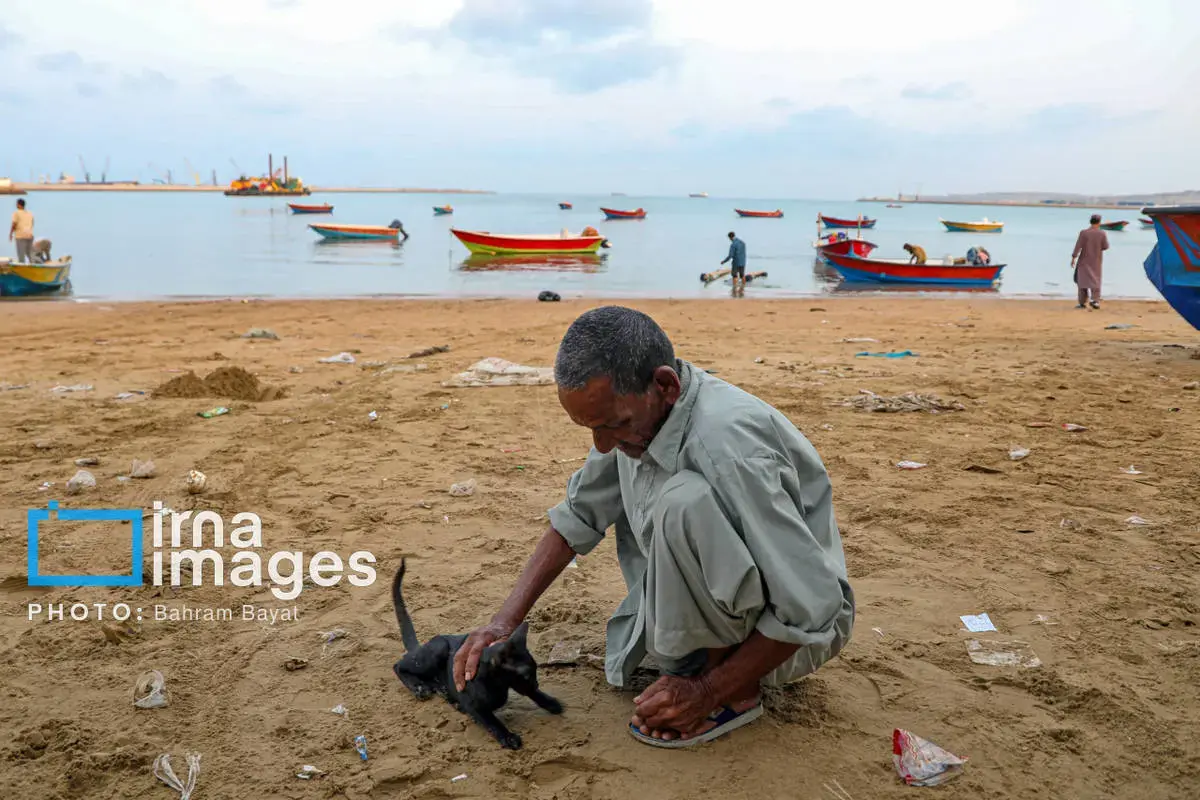 نقاشی طبیعت و فرهنگ بر بوم چابهار