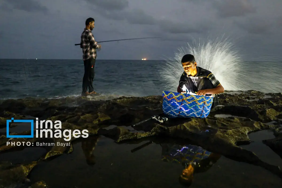 نقاشی طبیعت و فرهنگ بر بوم چابهار