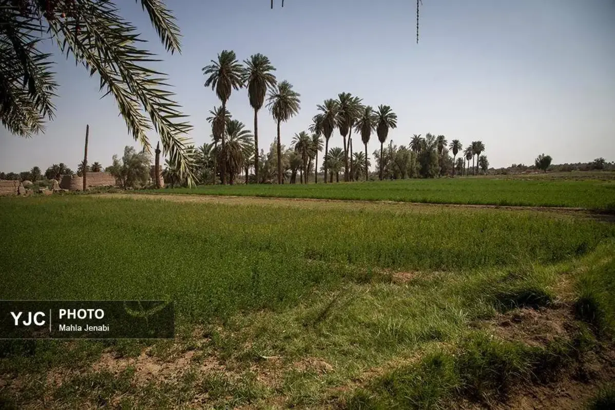 شفیع‌آباد کرمان نگینی در دل کویر