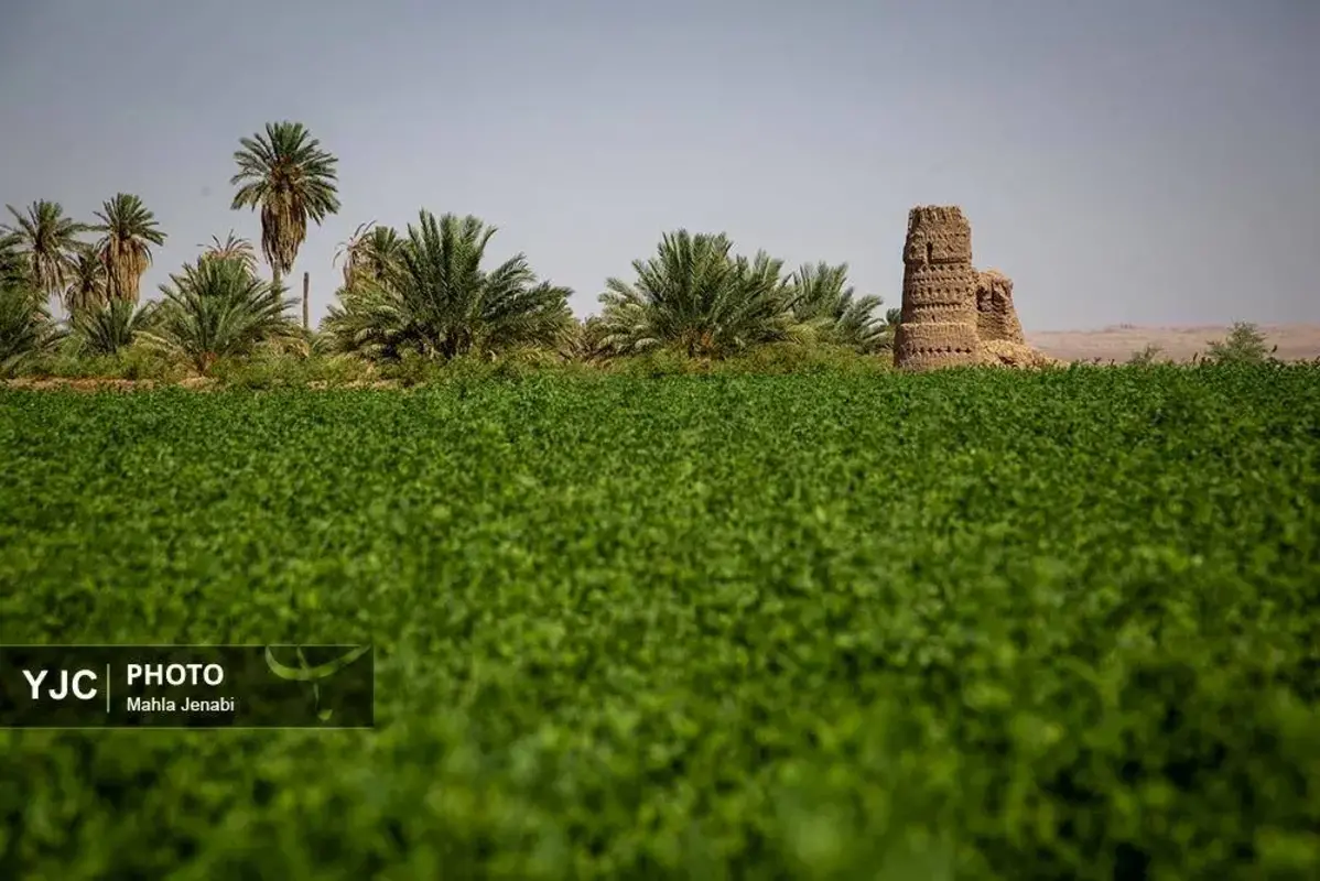 شفیع‌آباد کرمان نگینی در دل کویر