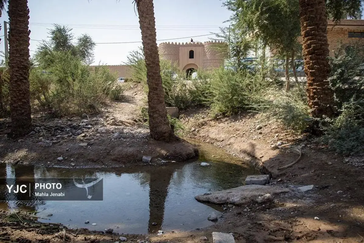 شفیع‌آباد کرمان نگینی در دل کویر