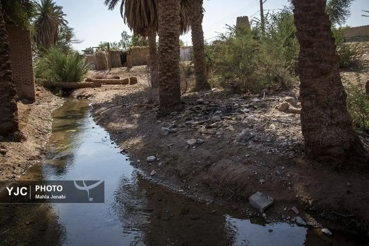 شفیع‌آباد کرمان نگینی در دل کویر