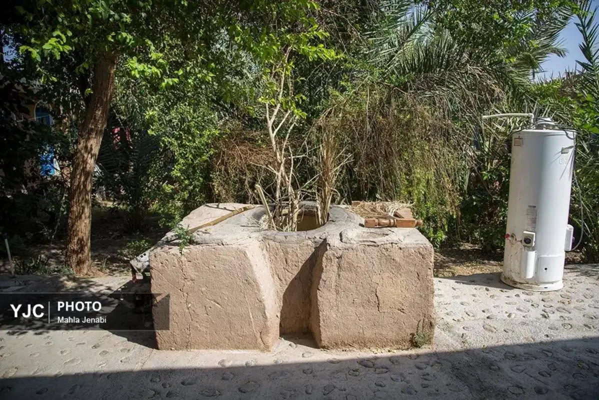 شفیع‌آباد کرمان نگینی در دل کویر