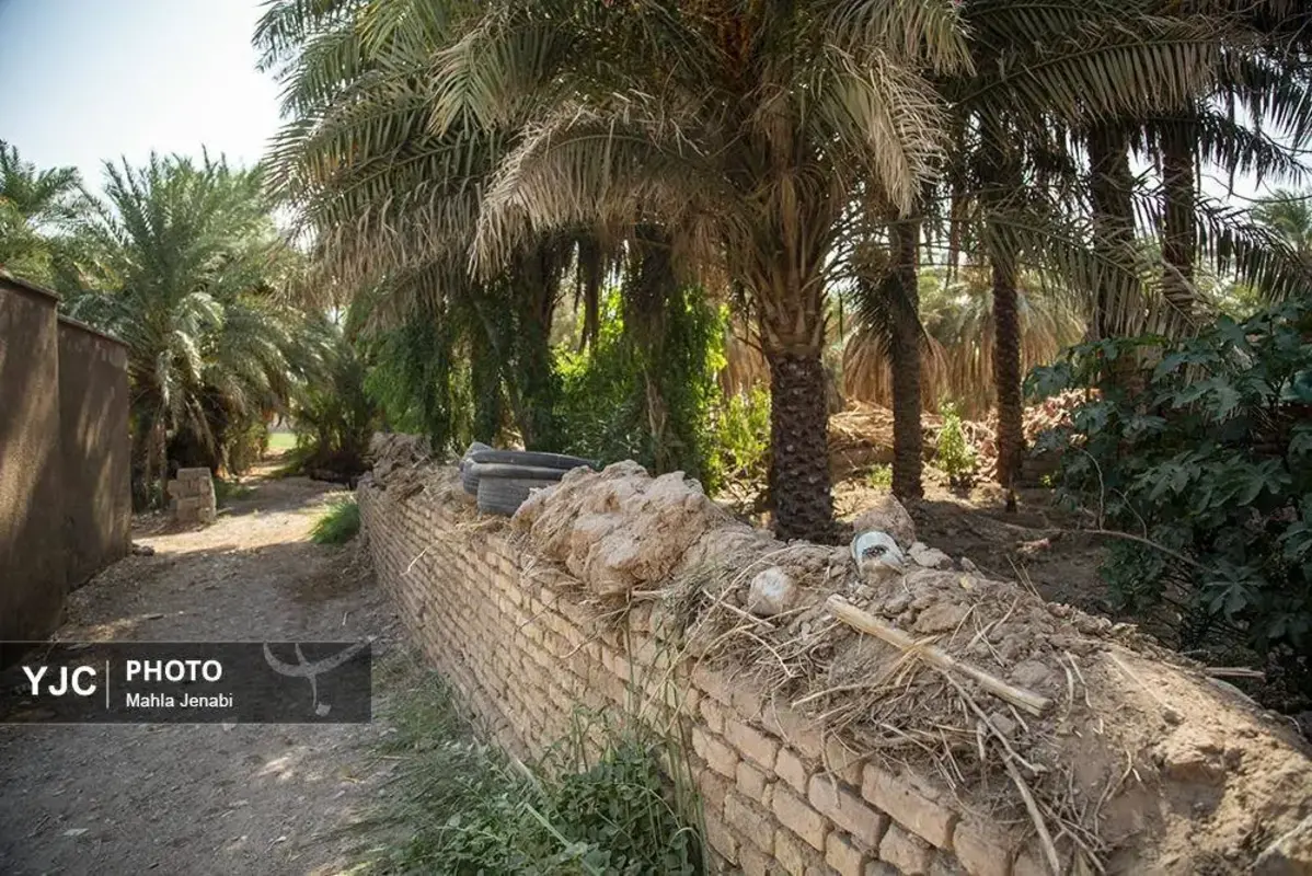 شفیع‌آباد کرمان نگینی در دل کویر