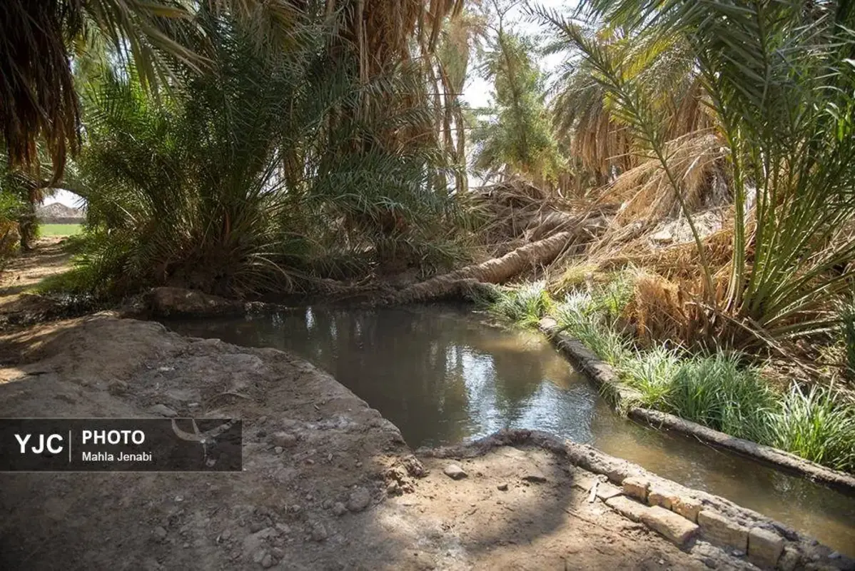 شفیع‌آباد کرمان نگینی در دل کویر