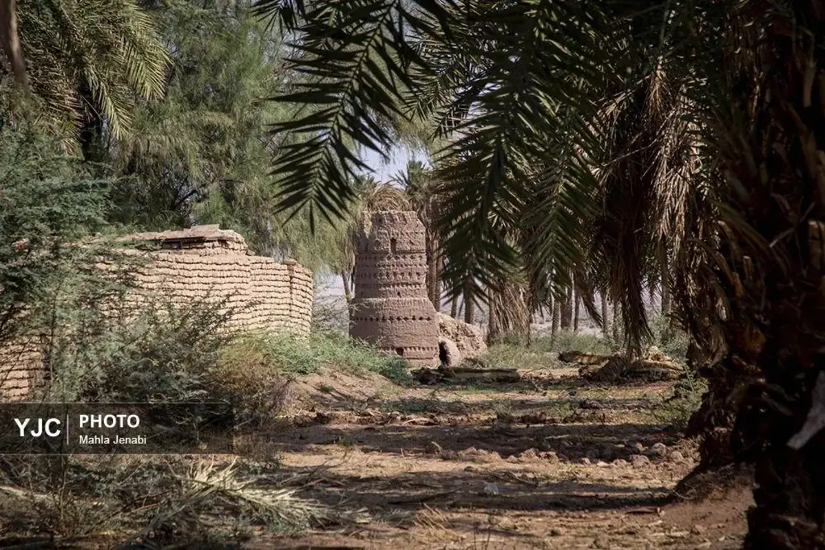 شفیع‌آباد کرمان نگینی در دل کویر