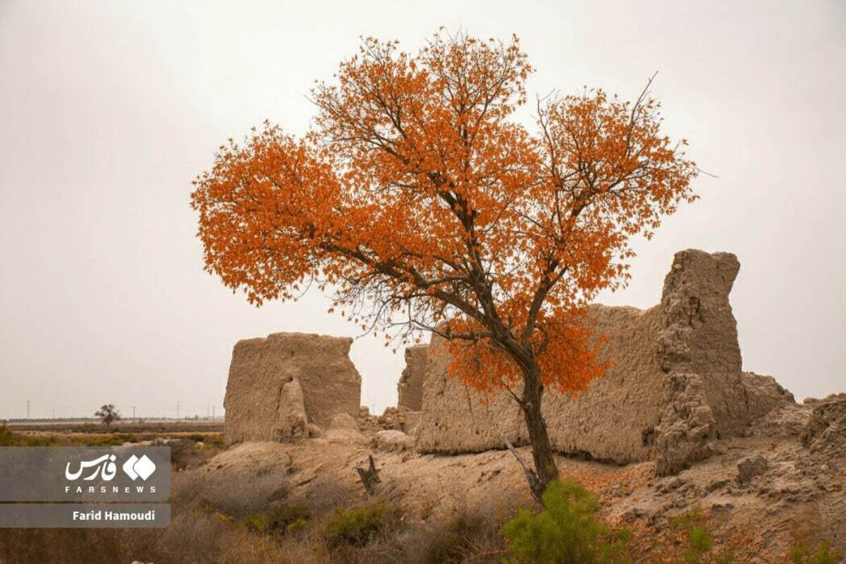 پاییز آبادان و خرمشهر از نگاه هوش مصنوعی
