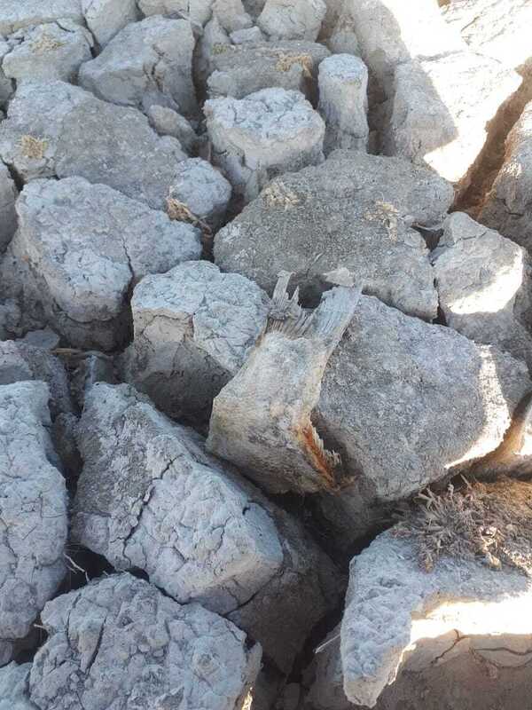 خشک شدن کامل دریاچه پری در زنجان