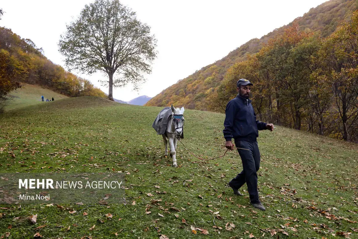پاییز هزاررنگ در روستای نمنق