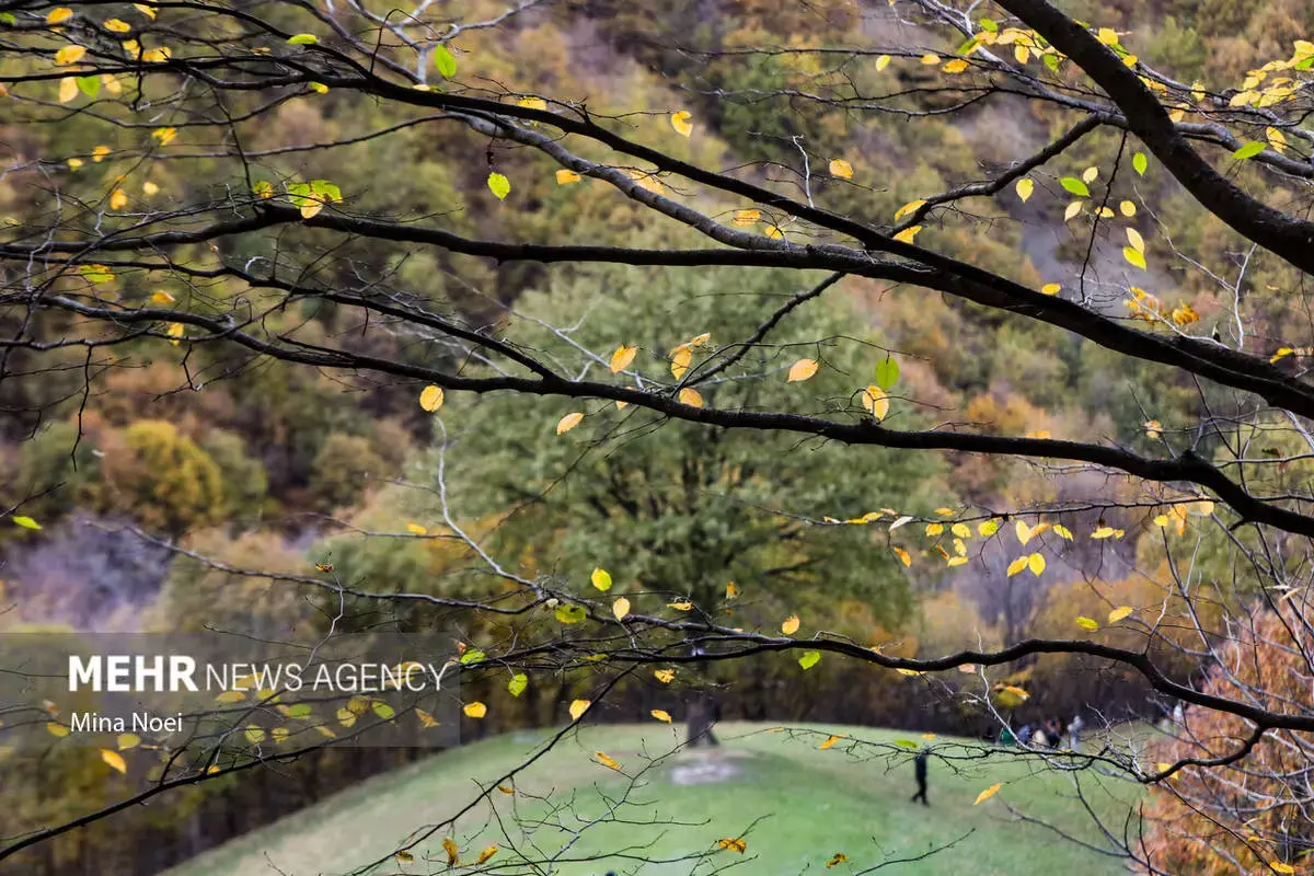 پاییز هزاررنگ در روستای نمنق