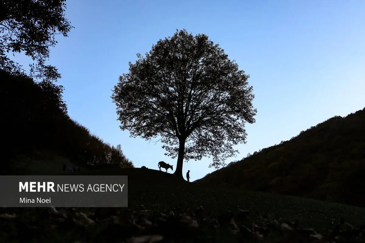 پاییز هزاررنگ در روستای نمنق