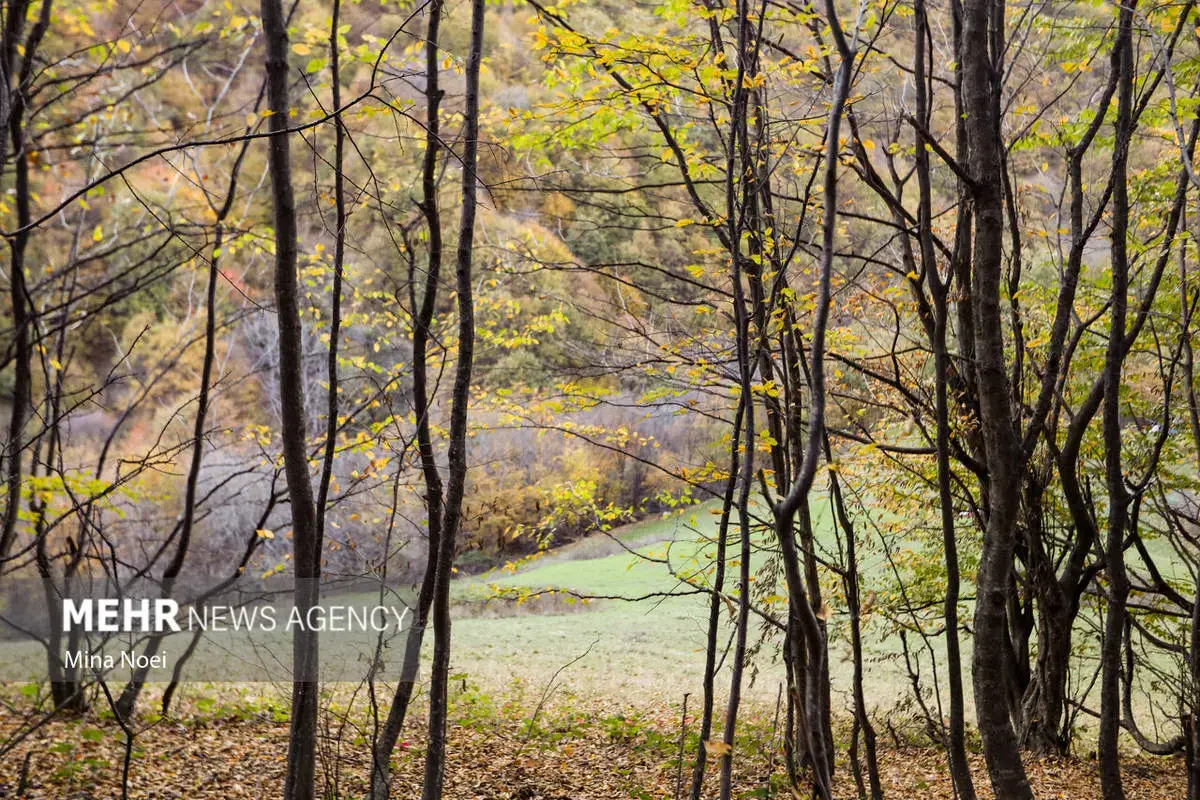 پاییز هزاررنگ در روستای نمنق