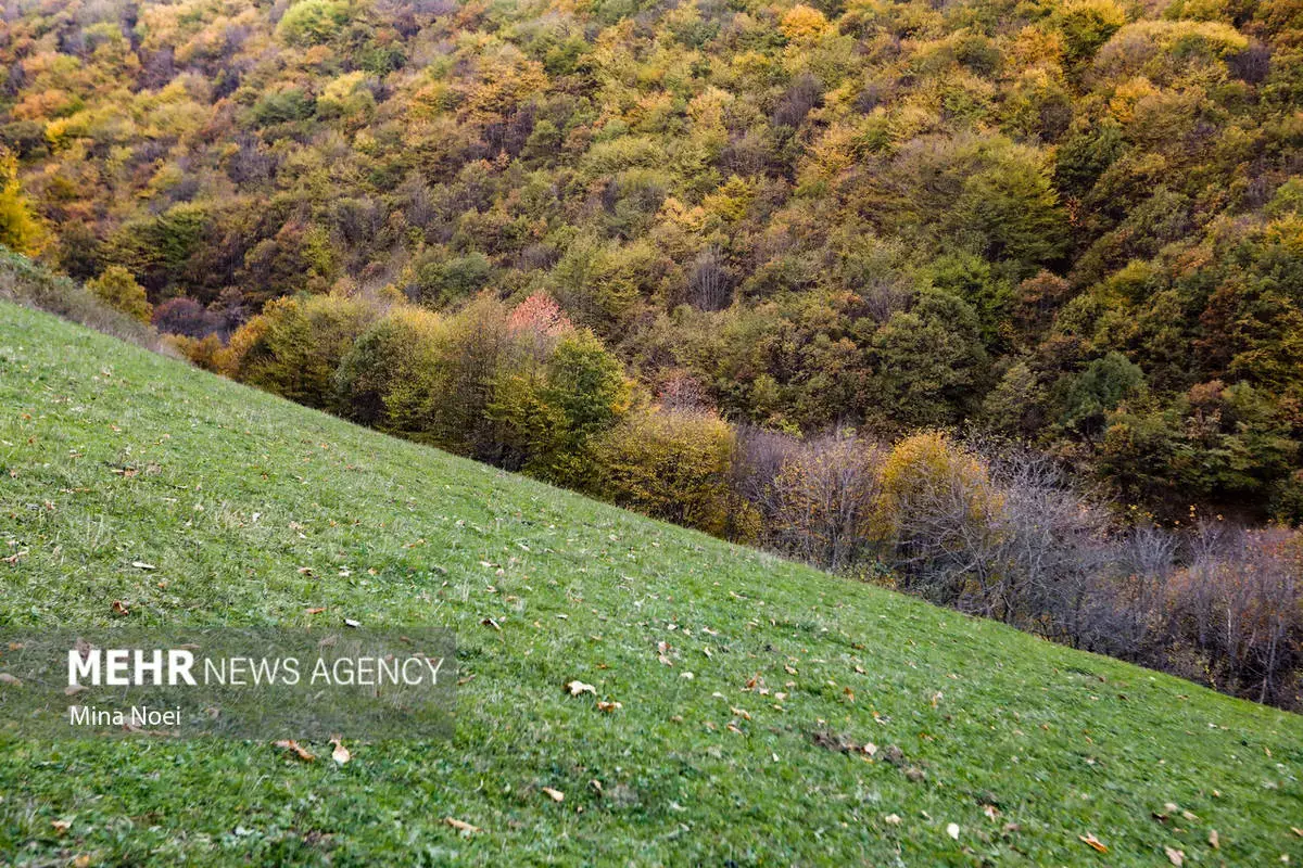 پاییز هزاررنگ در روستای نمنق
