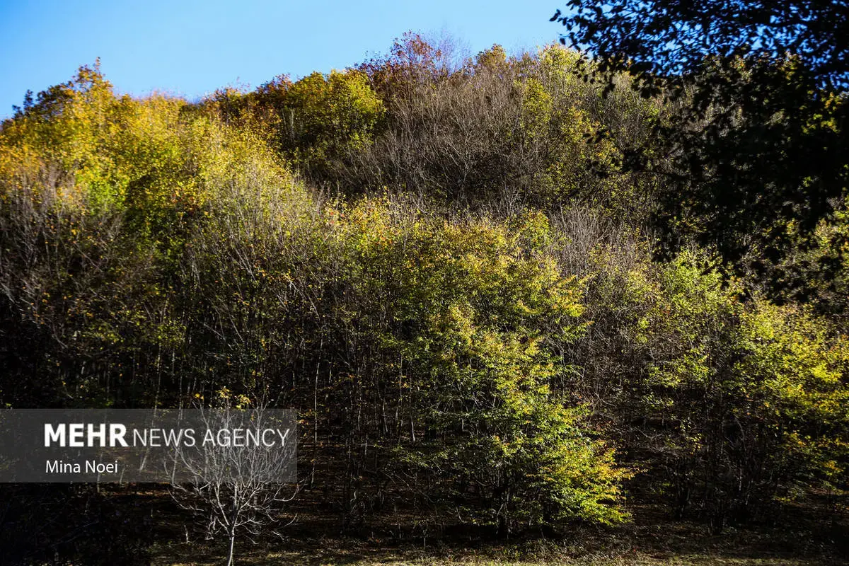 پاییز هزاررنگ در روستای نمنق