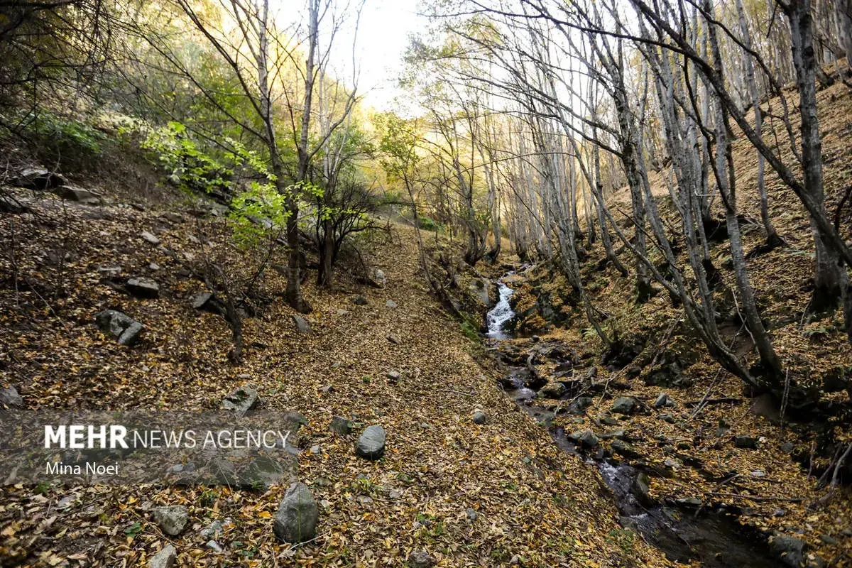پاییز هزاررنگ در روستای نمنق