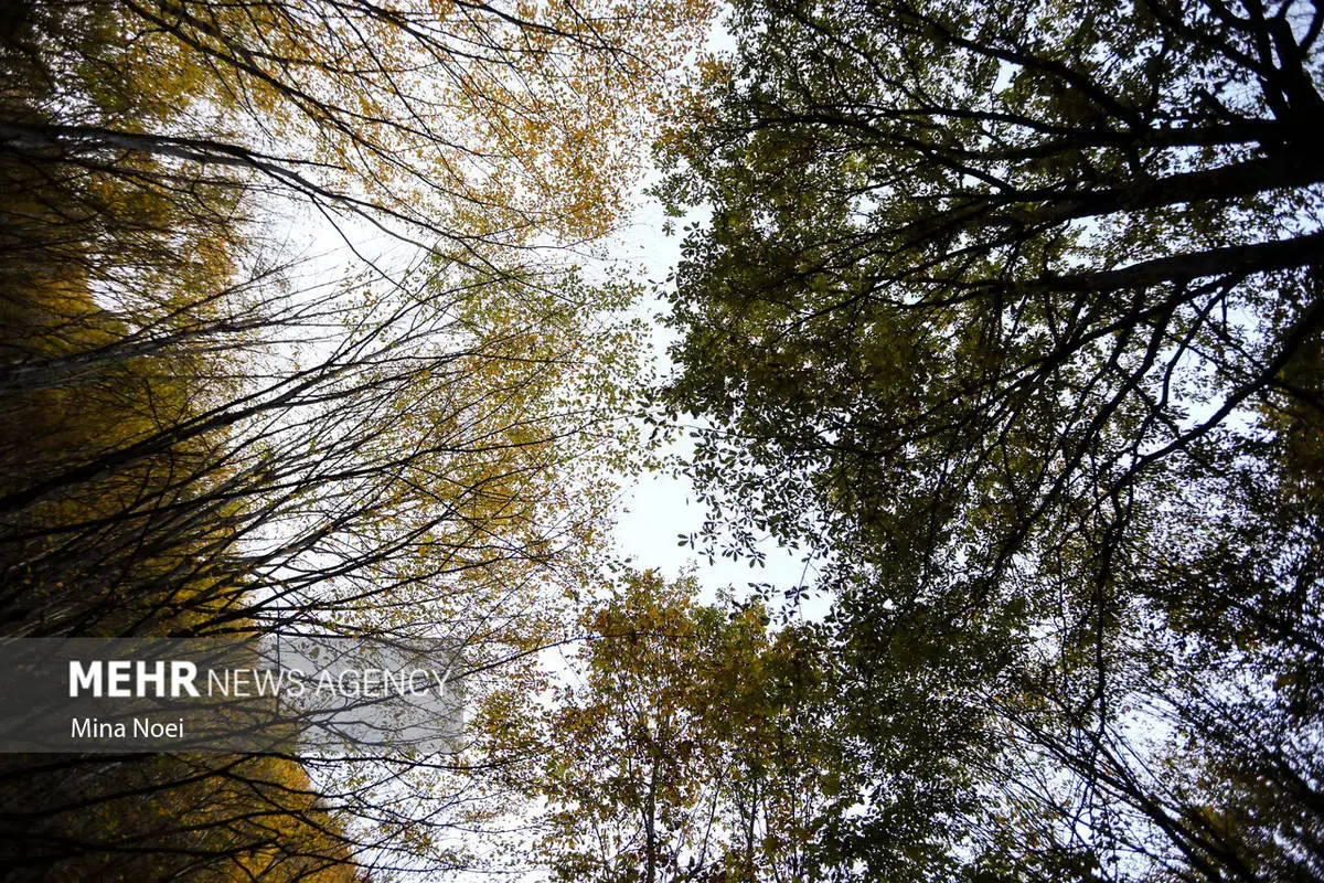 پاییز هزاررنگ در روستای نمنق