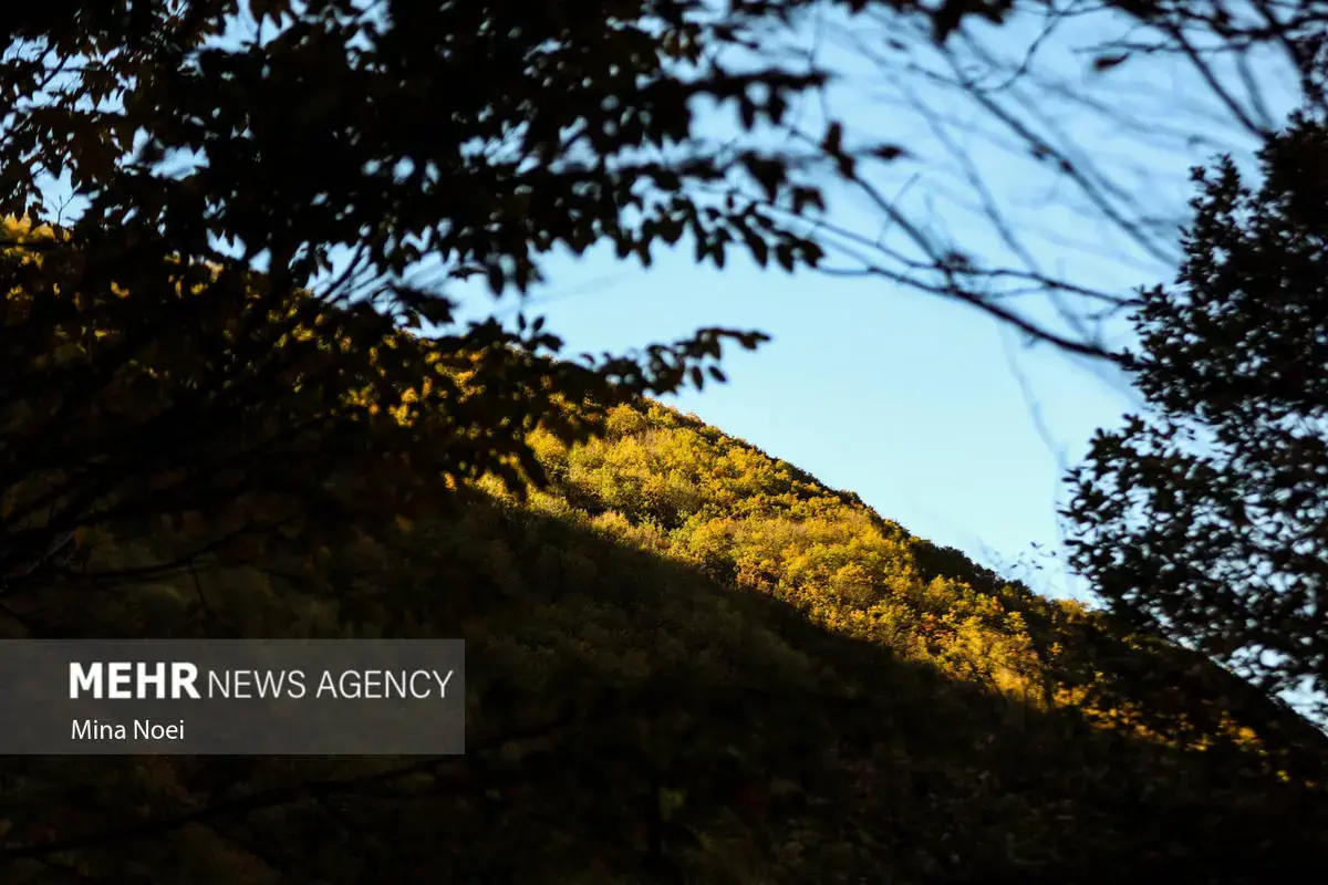پاییز هزاررنگ در روستای نمنق