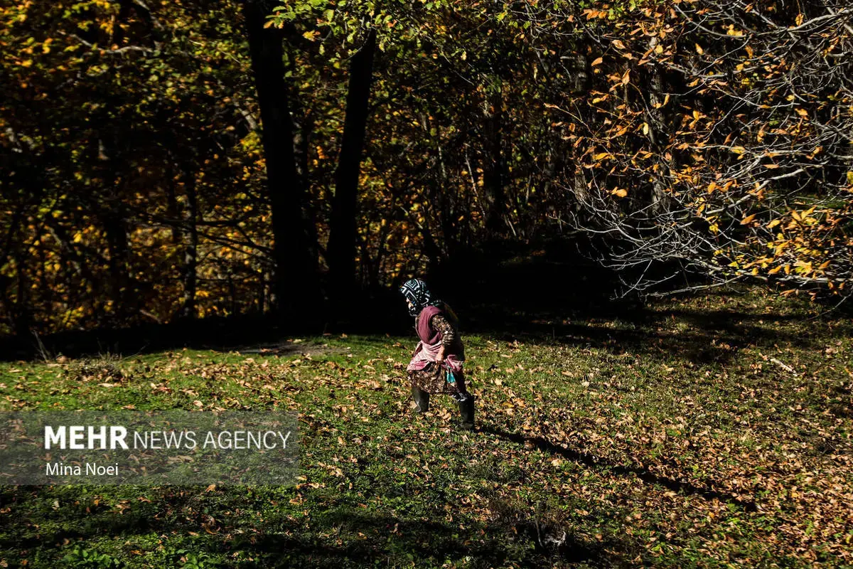 پاییز هزاررنگ در روستای نمنق