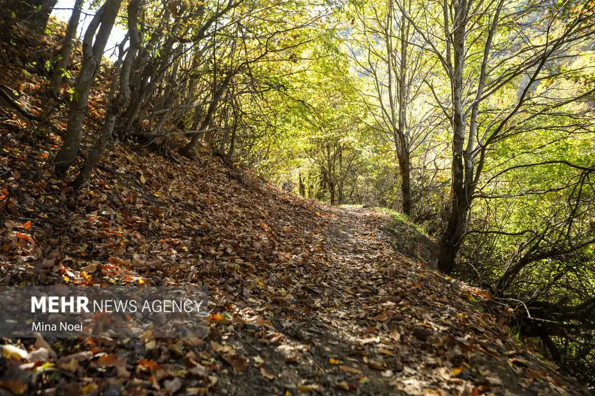 پاییز هزاررنگ در روستای نمنق