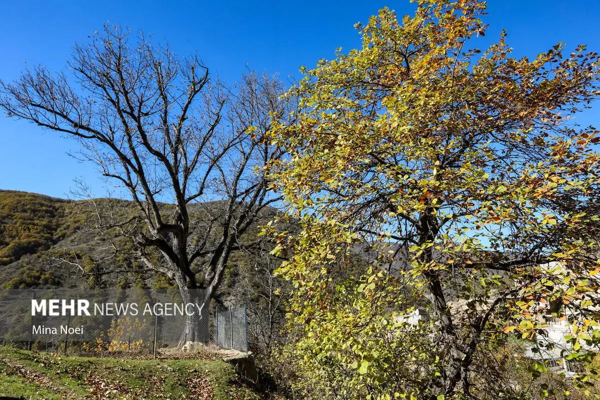 پاییز هزاررنگ در روستای نمنق