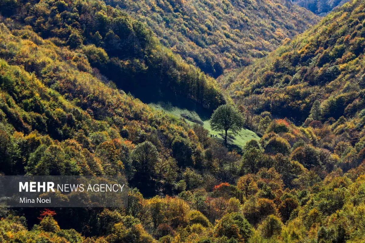 پاییز هزاررنگ در روستای نمنق