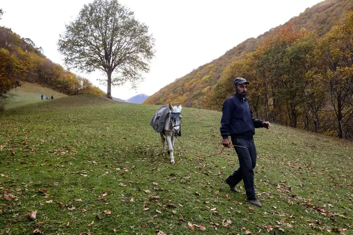 پاییز هزاررنگ در روستای نمنق
