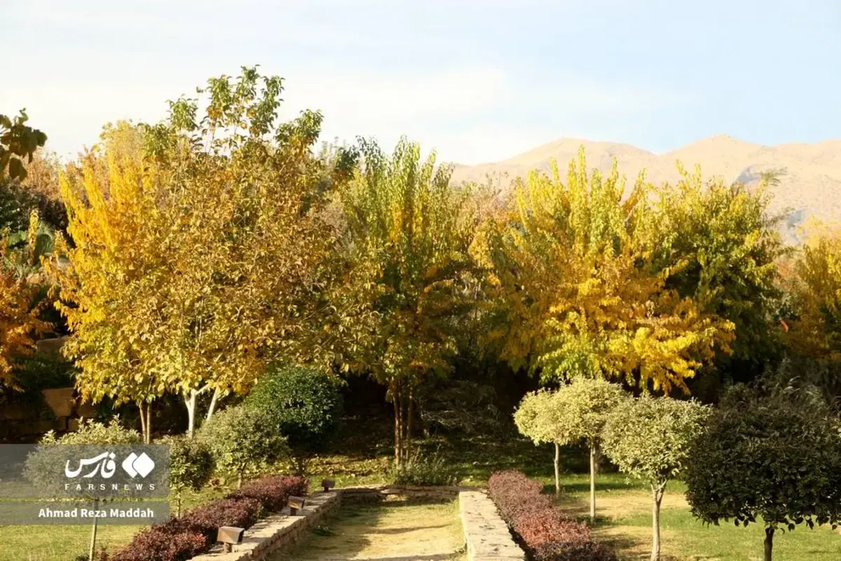 رقص برگ‌های پاییزی در باغ گل‌های شیراز