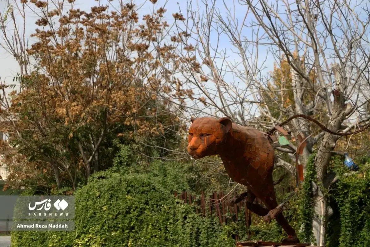 رقص برگ‌های پاییزی در باغ گل‌های شیراز