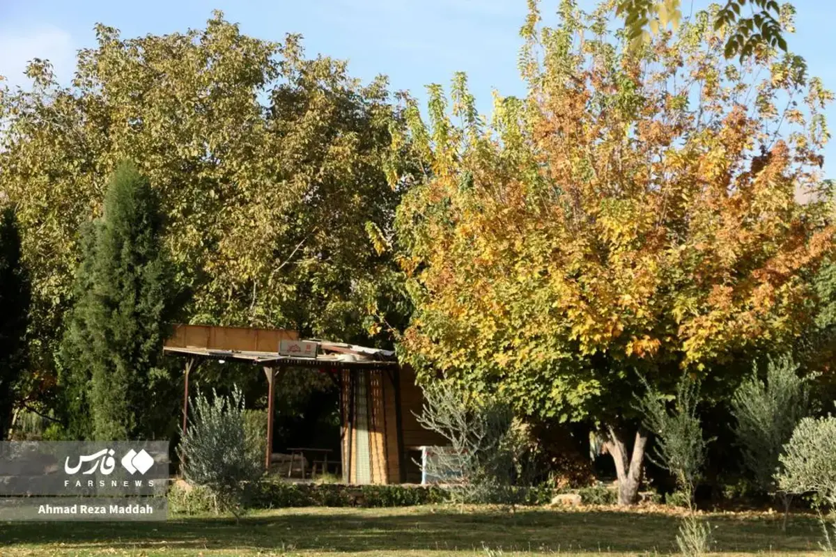 رقص برگ‌های پاییزی در باغ گل‌های شیراز