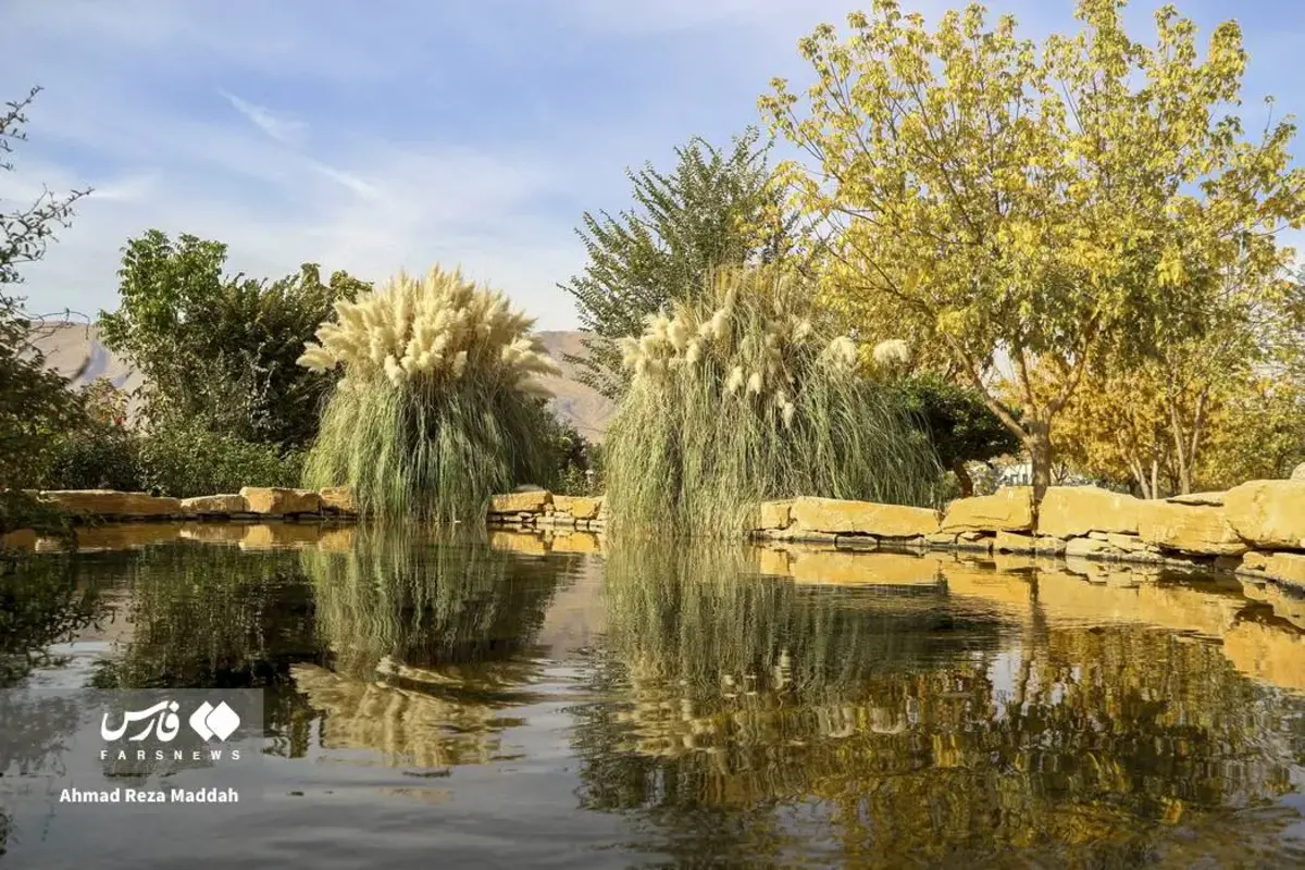 رقص برگ‌های پاییزی در باغ گل‌های شیراز