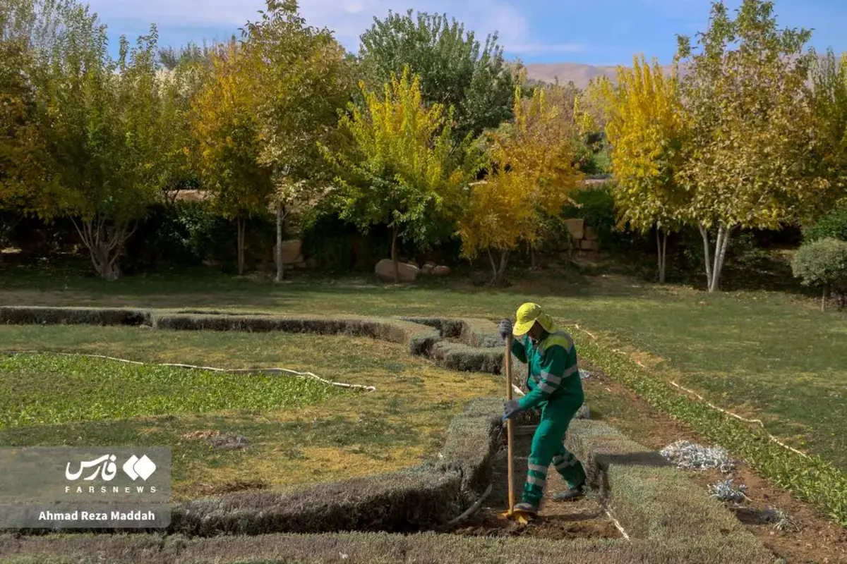 رقص برگ‌های پاییزی در باغ گل‌های شیراز