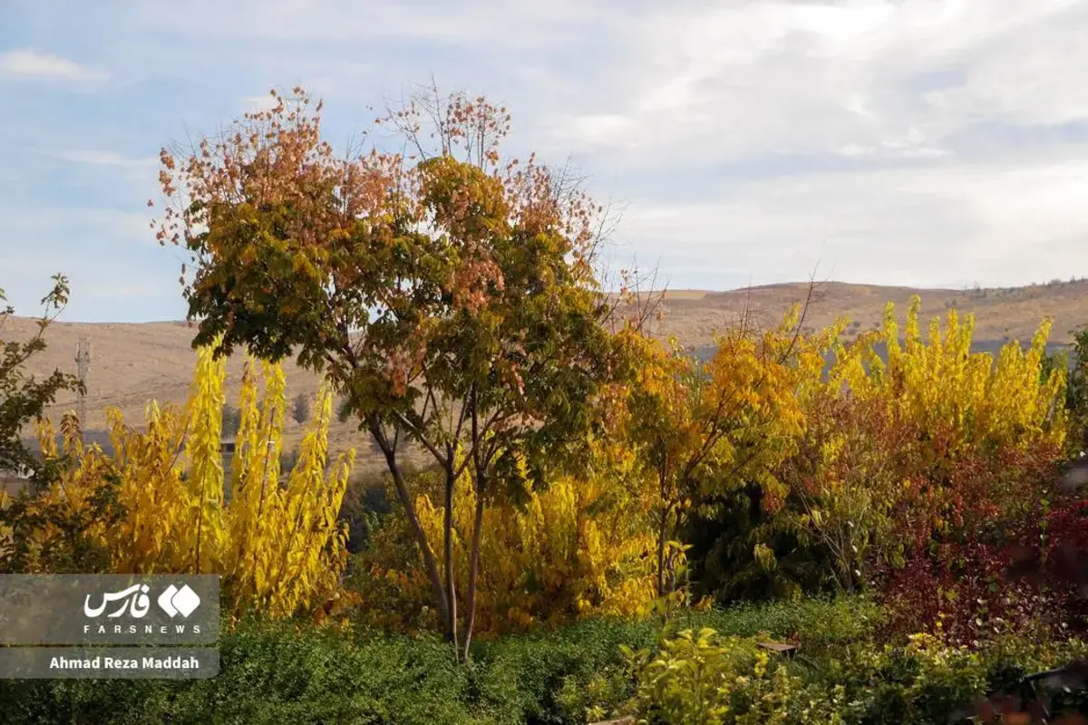 رقص برگ‌های پاییزی در باغ گل‌های شیراز