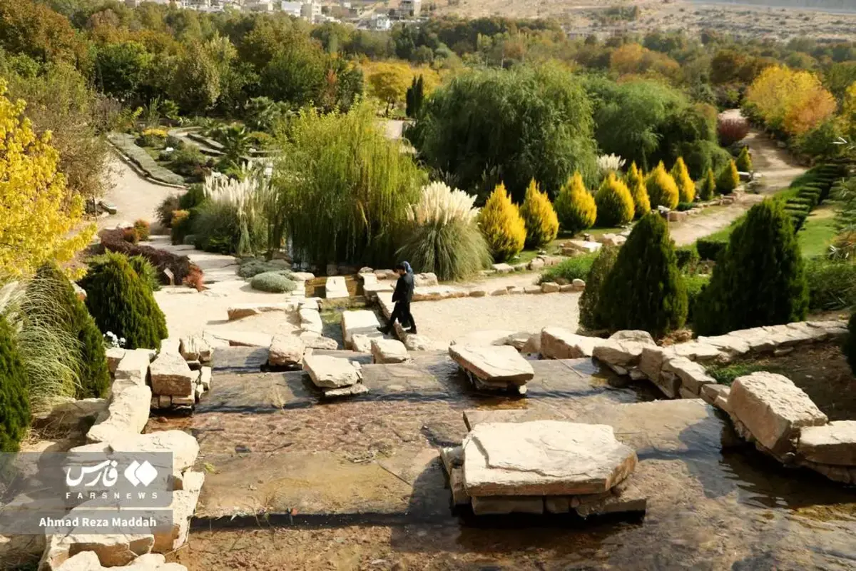 رقص برگ‌های پاییزی در باغ گل‌های شیراز