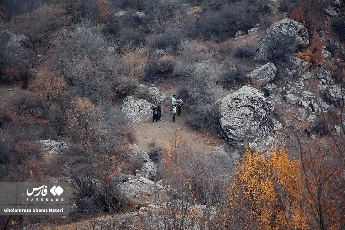 جنگل‌های الیت چالوس در چنگال آتش