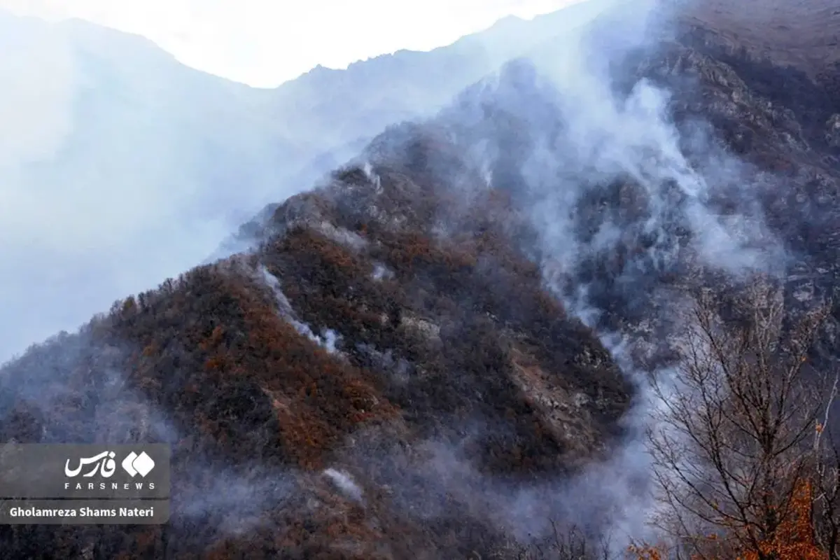 جنگل‌های الیت چالوس در چنگال آتش