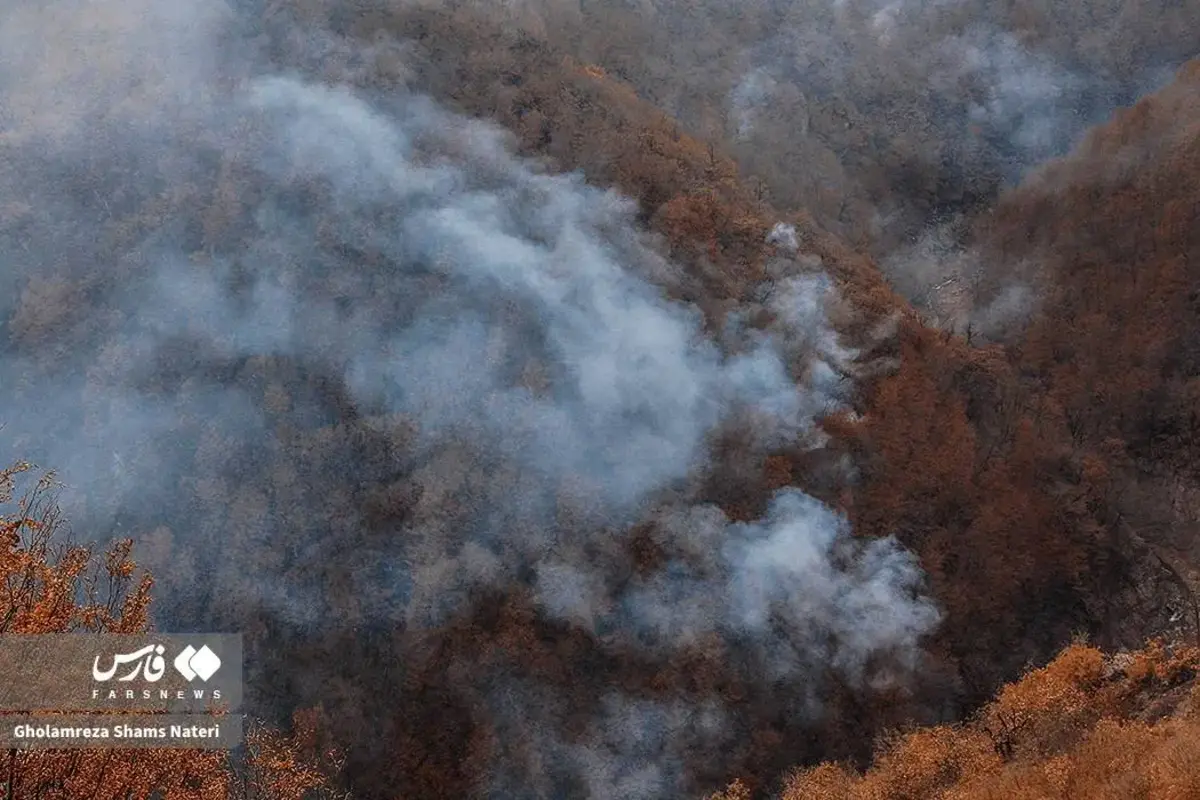 جنگل‌های الیت چالوس در چنگال آتش