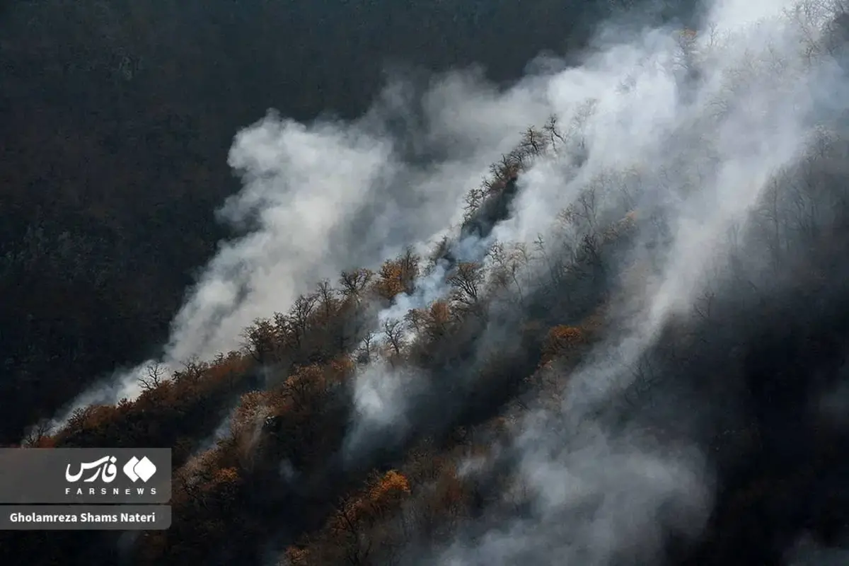 جنگل‌های الیت چالوس در چنگال آتش