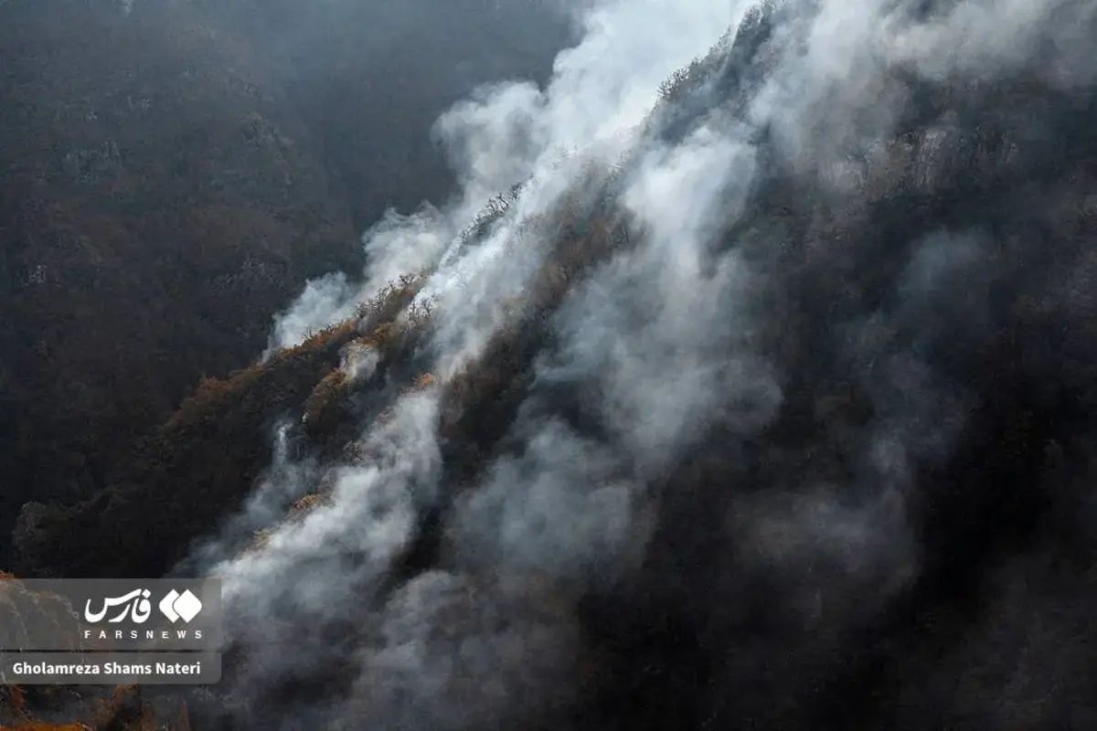 جنگل‌های الیت چالوس در چنگال آتش