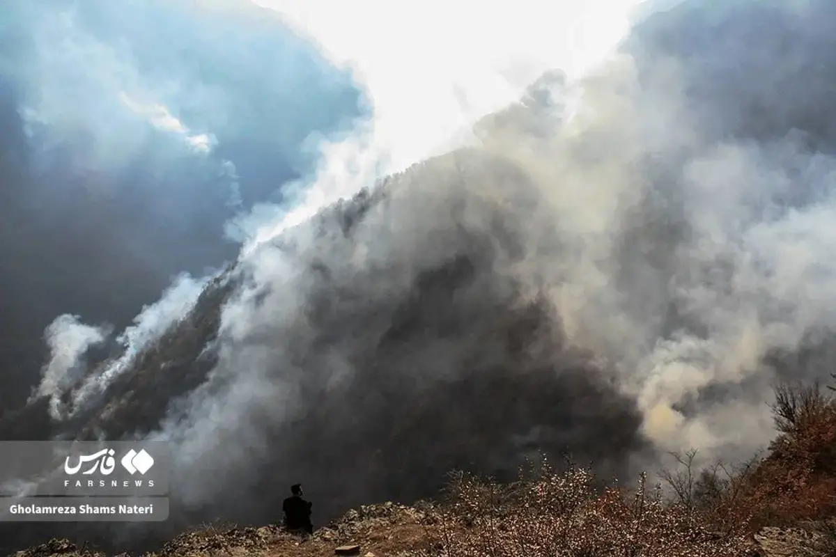 جنگل‌های الیت چالوس در چنگال آتش