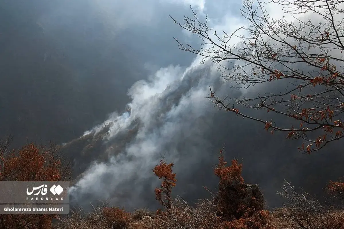 جنگل‌های الیت چالوس در چنگال آتش