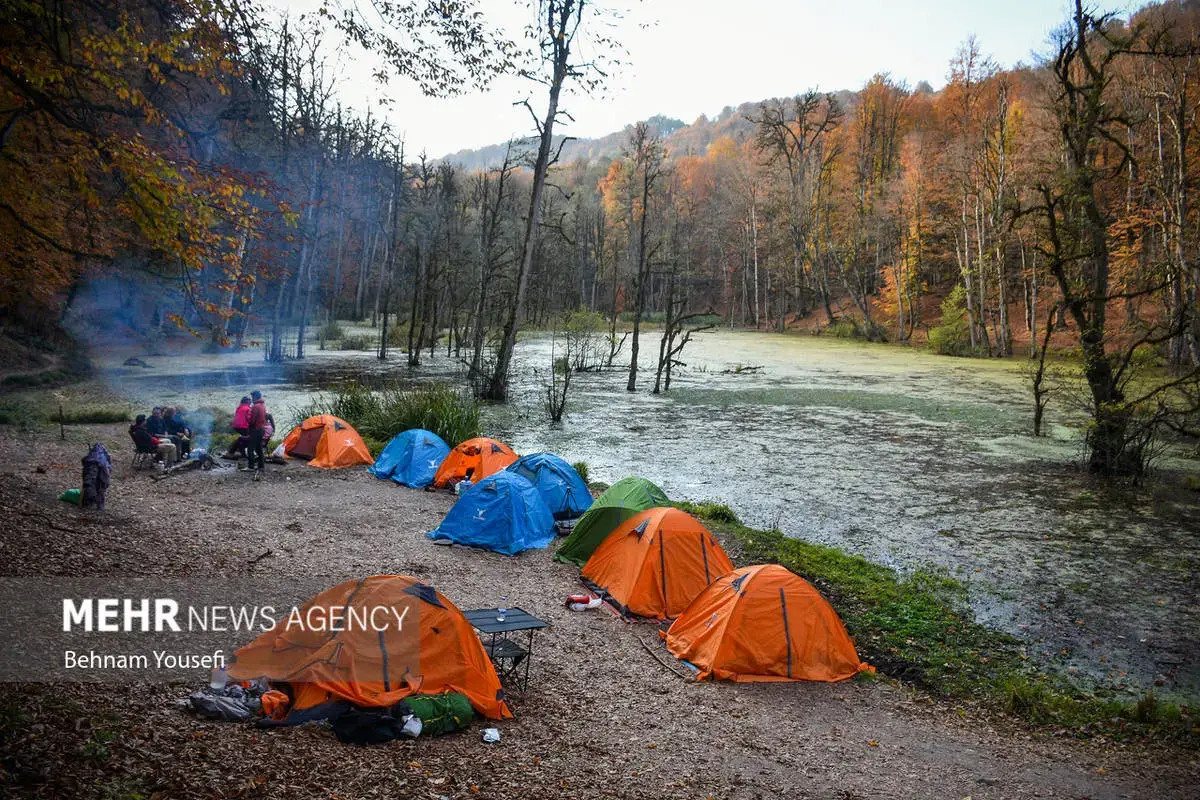 افسون برگ‌ها در پاییز هزار رنگ مازندران
