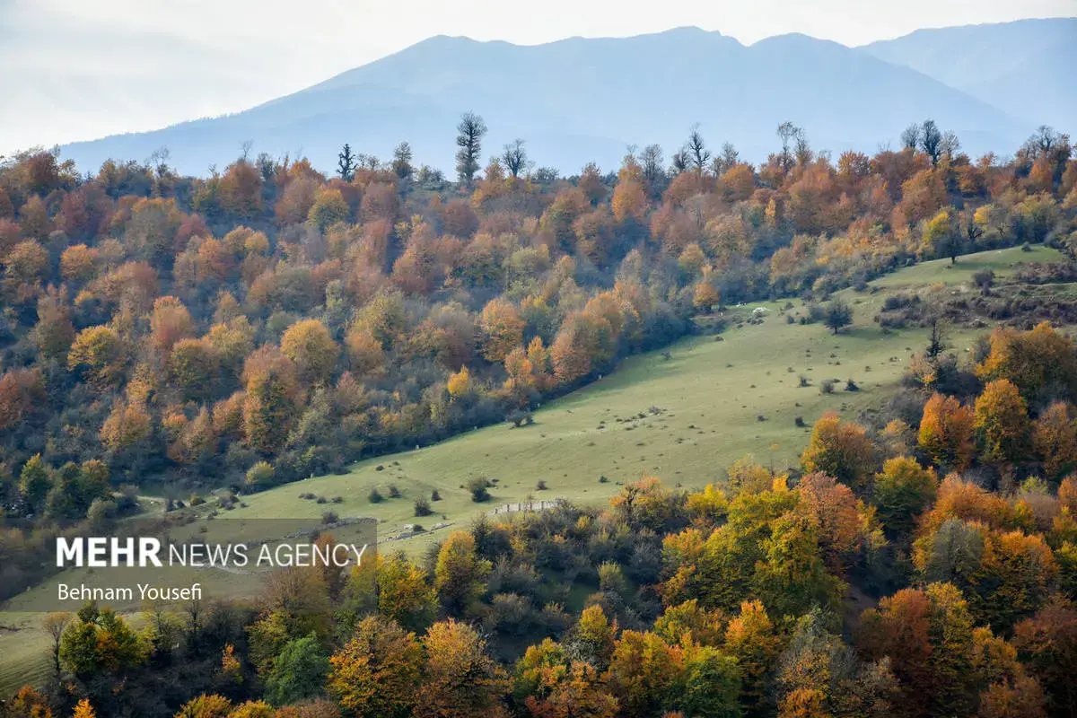 افسون برگ‌ها در پاییز هزار رنگ مازندران