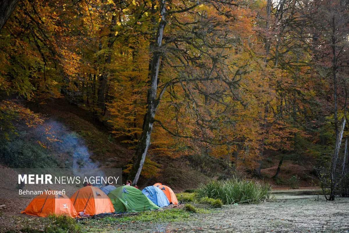 افسون برگ‌ها در پاییز هزار رنگ مازندران